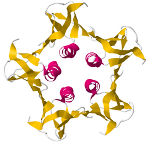 Illustration for article titled 10 of the Deadliest Proteins on Earth